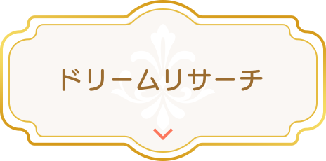 ドリームリサーチ
