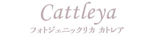 フォトジェニックリカ カトレア