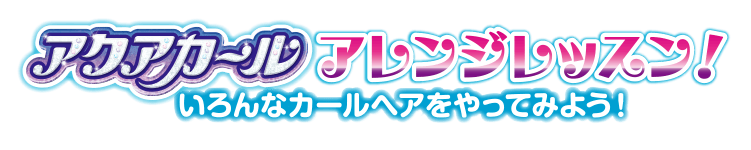 アクアカール　アクセサリーセット
