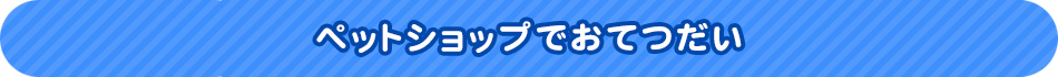 ペットショップでおてつだい