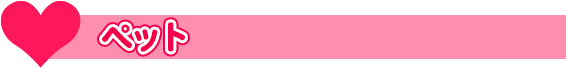 ペット