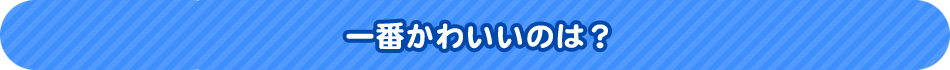一番かわいいのは？