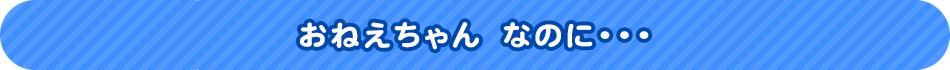 おねえちゃん　なのに・・・