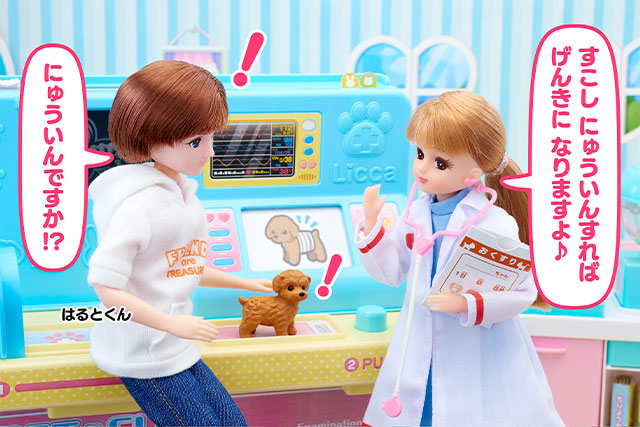 だいすき♡どうぶつびょういん