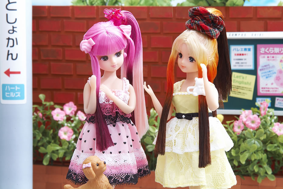 夏が来た♪