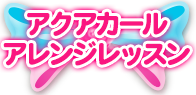 アクアカールアレンジレッスン